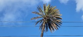 Enlarge photo 181