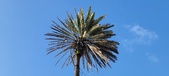 Enlarge photo 182