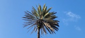 Enlarge photo 183