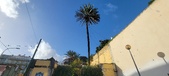 Enlarge photo 184