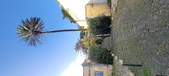 Enlarge photo 177