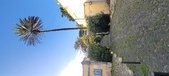 Enlarge photo 176