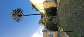 Enlarge photo 175