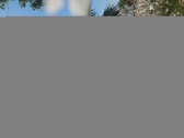 Enlarge photo 46