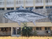 Enlarge photo 67