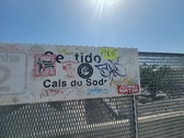 Enlarge photo 113