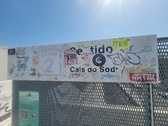 Enlarge photo 273