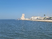 Enlarge photo 145