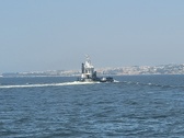 Enlarge photo 174