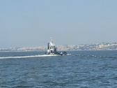 Enlarge photo 175