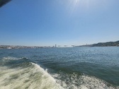 Enlarge photo 176