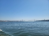 Enlarge photo 385
