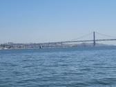 Enlarge photo 295
