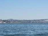 Enlarge photo 393