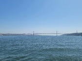 Enlarge photo 307