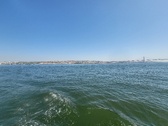 Enlarge photo 407