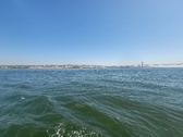 Enlarge photo 408