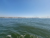 Enlarge photo 409
