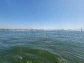 Enlarge photo 410