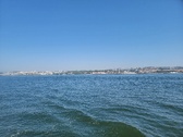 Enlarge photo 412