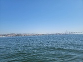 Enlarge photo 417