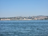 Enlarge photo 334