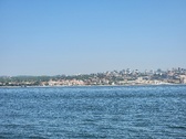 Enlarge photo 335