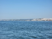 Enlarge photo 338