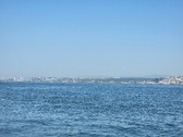 Enlarge photo 337