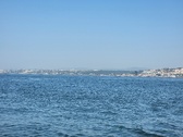 Enlarge photo 341