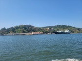 Enlarge photo 428