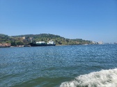 Enlarge photo 346