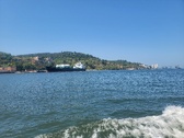 Enlarge photo 430