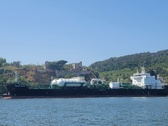Enlarge photo 435