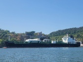 Enlarge photo 356