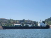 Enlarge photo 353