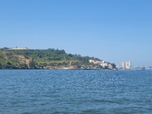 Enlarge photo 441