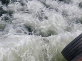 Enlarge photo 445