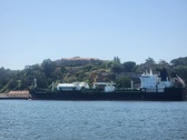 Enlarge photo 447