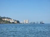 Enlarge photo 449