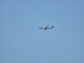 Enlarge photo 368