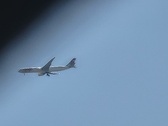 Enlarge photo 452