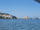 Enlarge photo 455