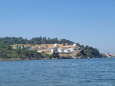 Enlarge photo 463