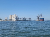 Enlarge photo 495