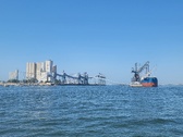 Enlarge photo 496