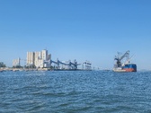 Enlarge photo 497