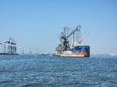 Enlarge photo 499