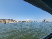 Enlarge photo 505