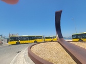 Enlarge photo 524